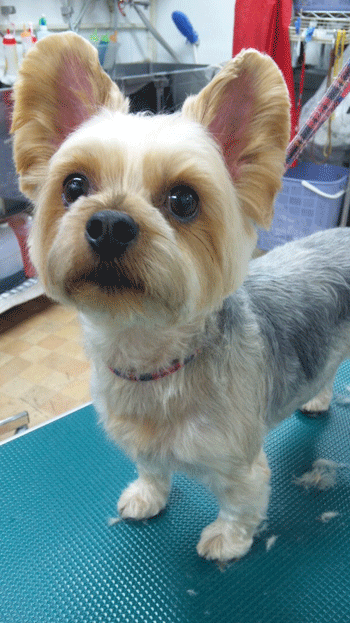 ���[�N�V���[�e���A�g���~���O�摜3