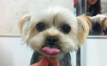 ���[�N�V���[�e���A�g���~���O�摜6