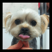 �g���~���O�摜���[�N�V���[�e���A6