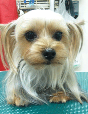 ���[�N�V���[�e���A�g���~���O�摜9